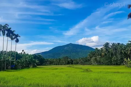 Kozhikode