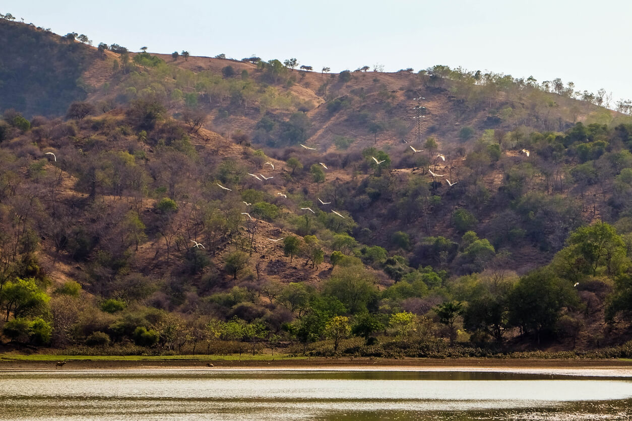 Atambua :  Atambua :