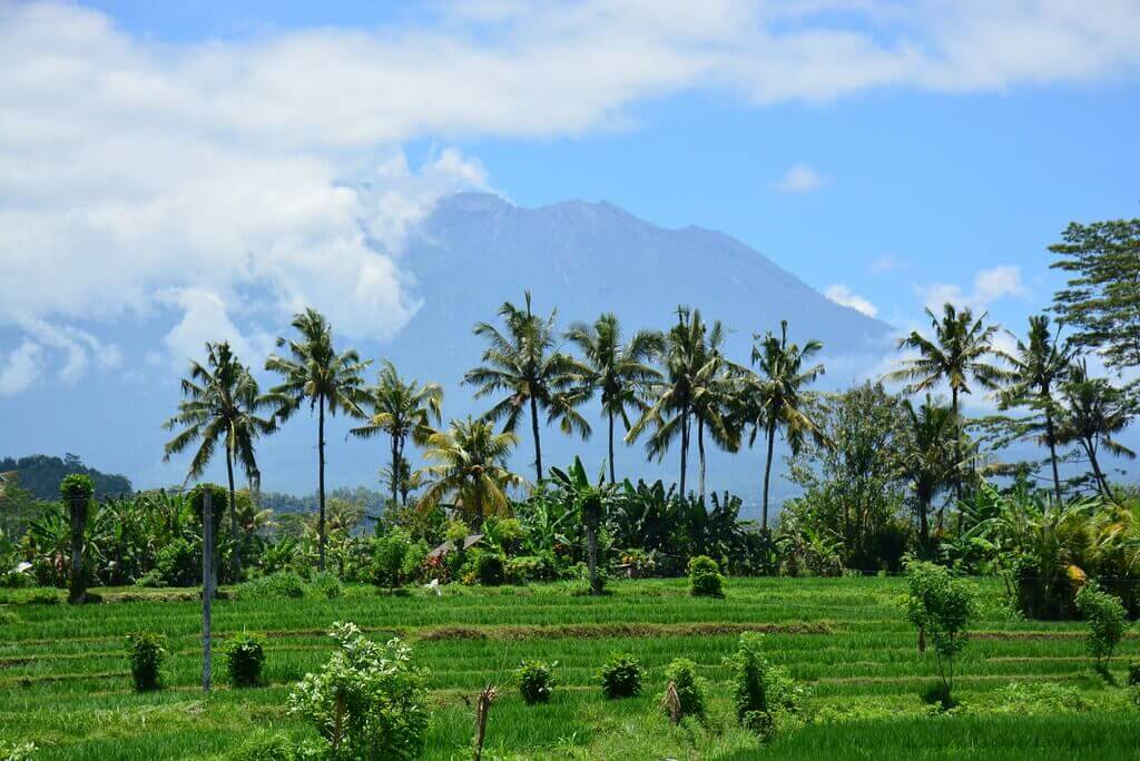 Unde și Când Să Mergi în Bali? Cel Mai Bun Climat | Unde și Când