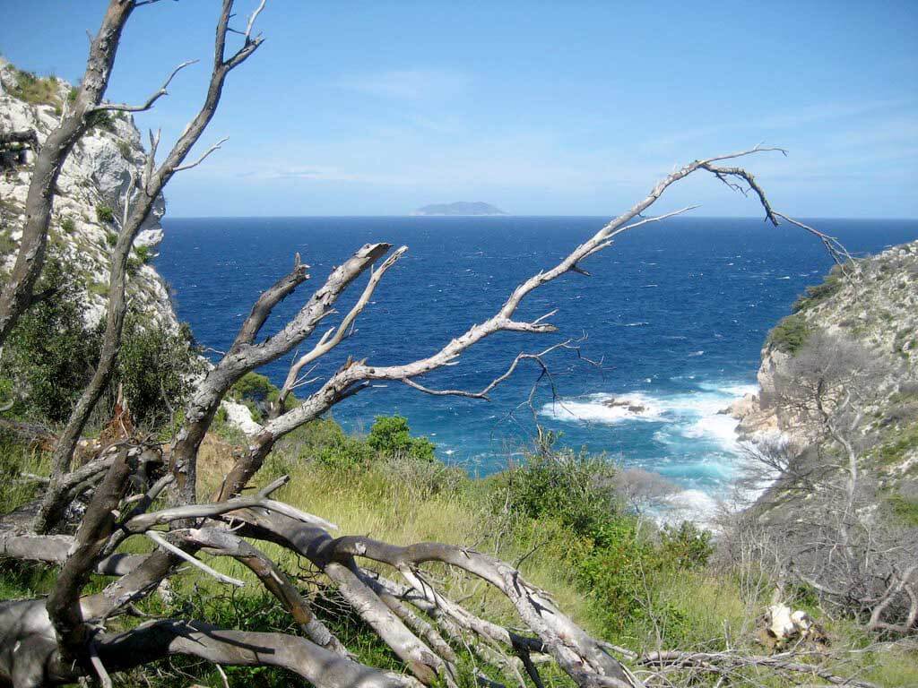 Insula Biševo :  Insula Biševo :