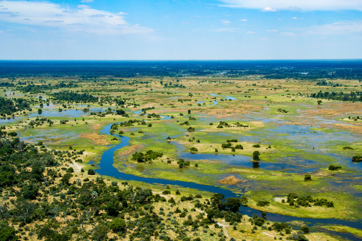 Botswana: Le Delta de l'Okavango, Botswana Botswana: Le Delta de l'Okavango, Botswana