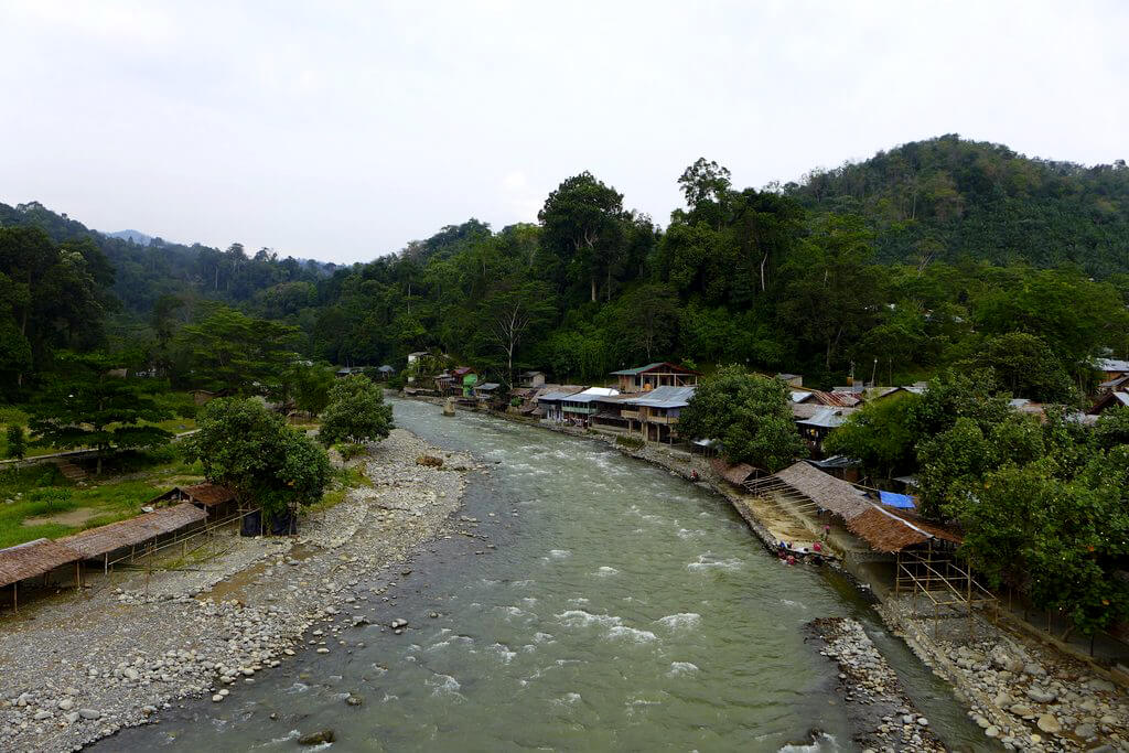 Bukit Lawang : Bukit Lawang :