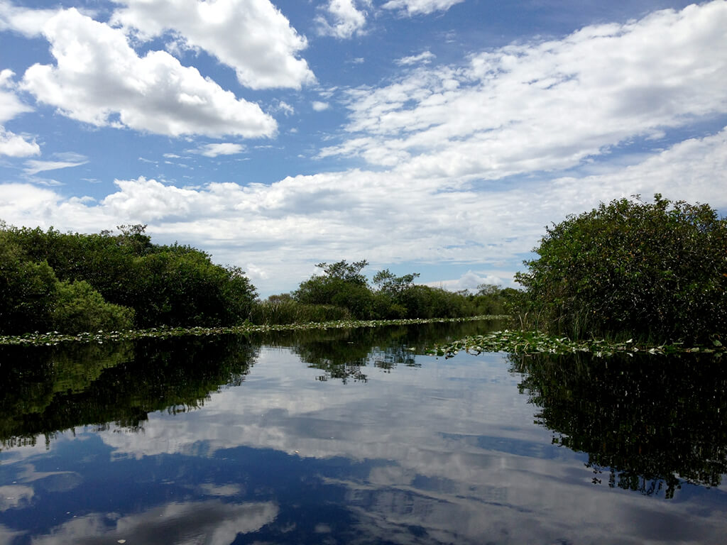Parcul Național Everglades :  Parcul Național Everglades :