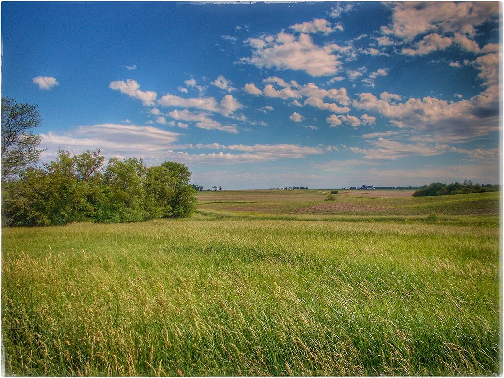 Illinois : Illinois :