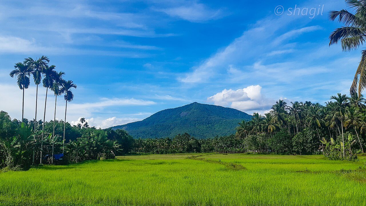 Kozhikode : Kozhikode :