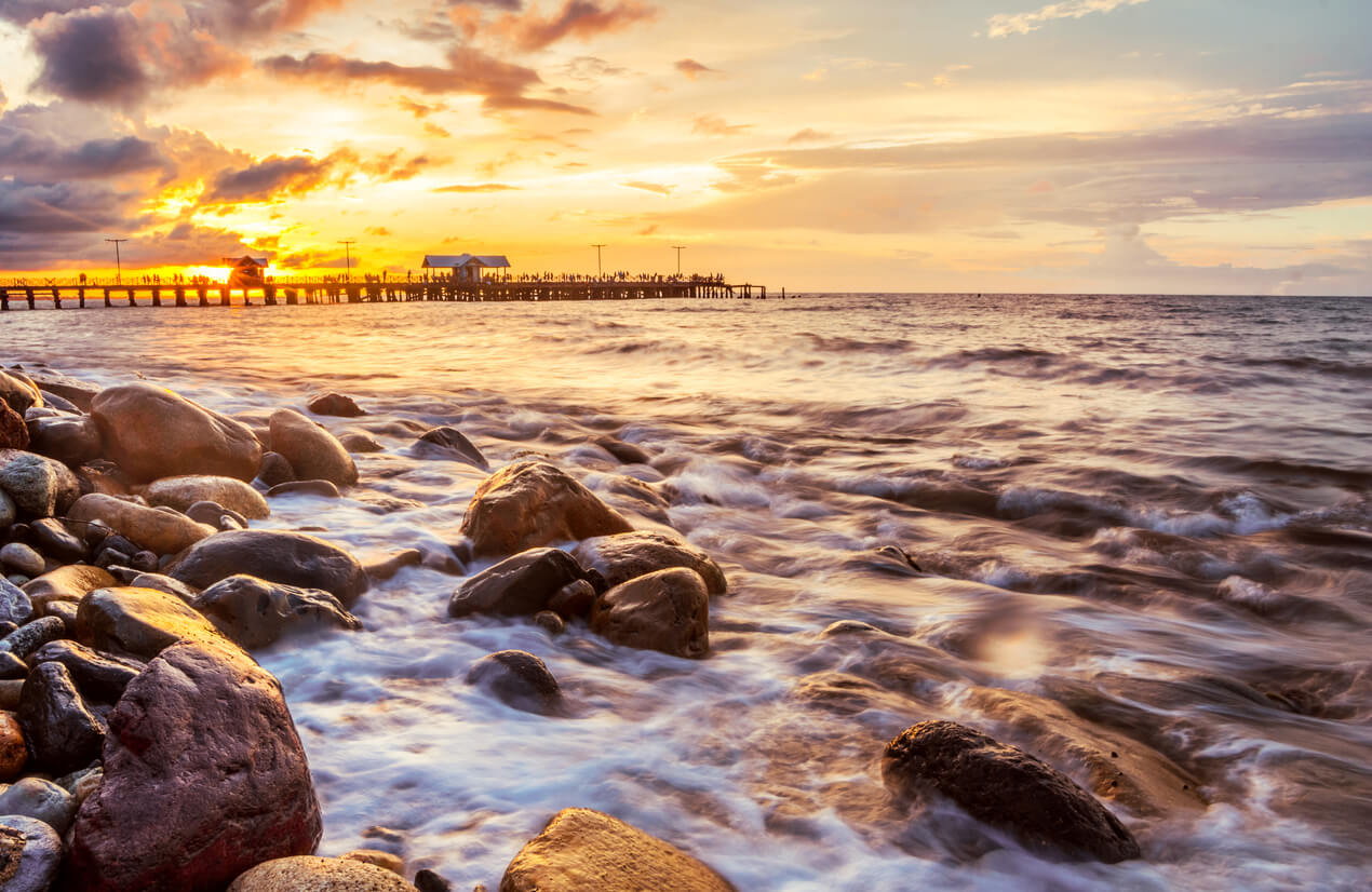 La Ceiba : La Ceiba :