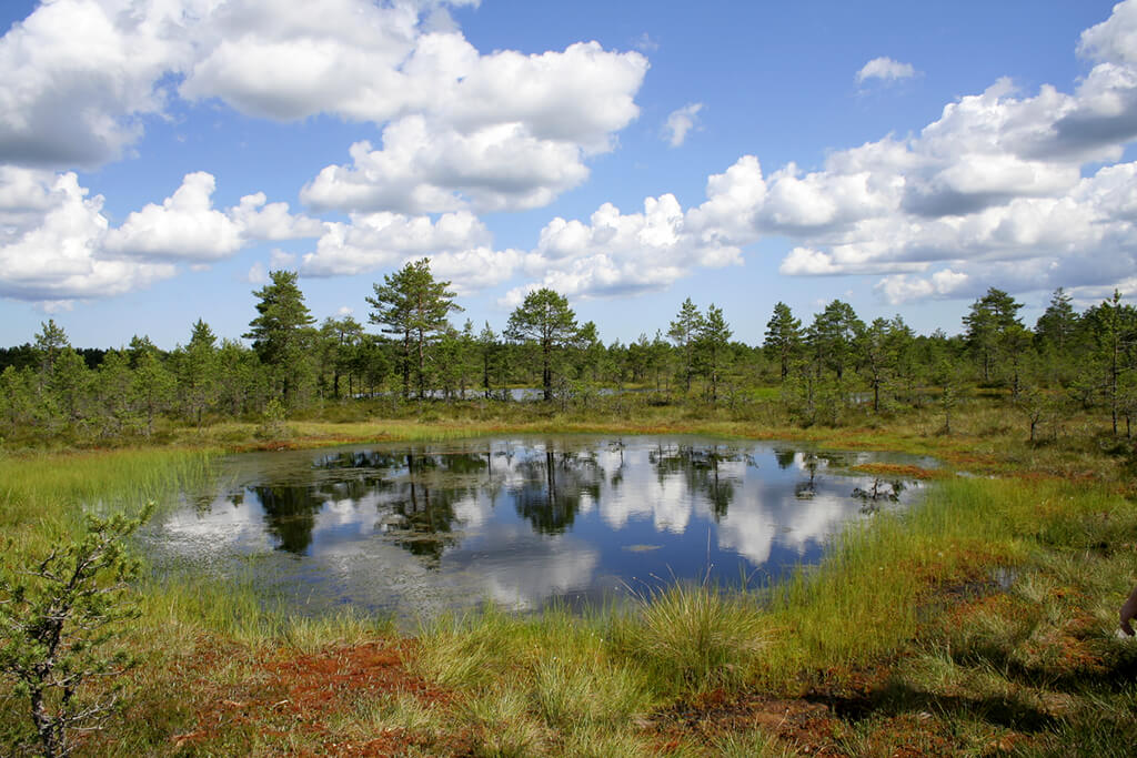 Parcul Național Lahemaa : Parcul Național Lahemaa :