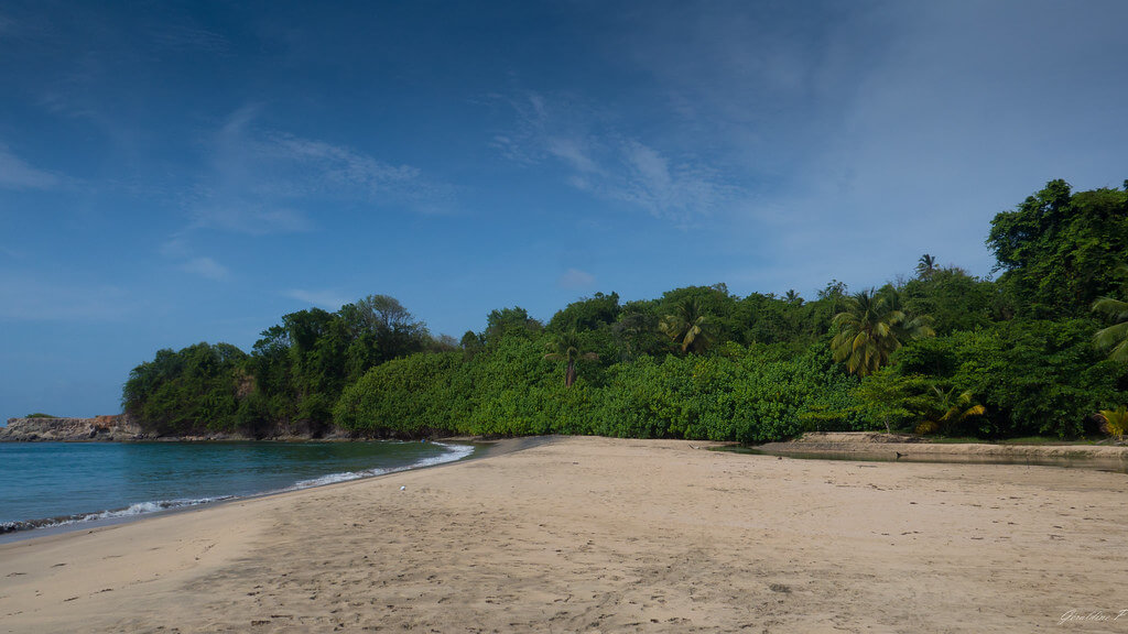 Marigot (Dominica) : 