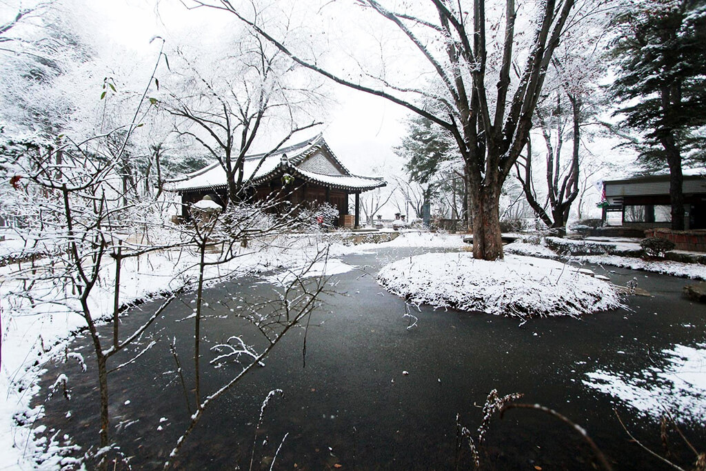 Namiseom (Nami Island) : 