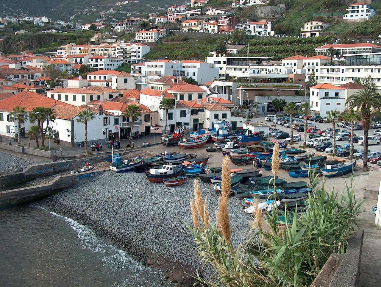 Câmara de Lobos : Camara de Lobos