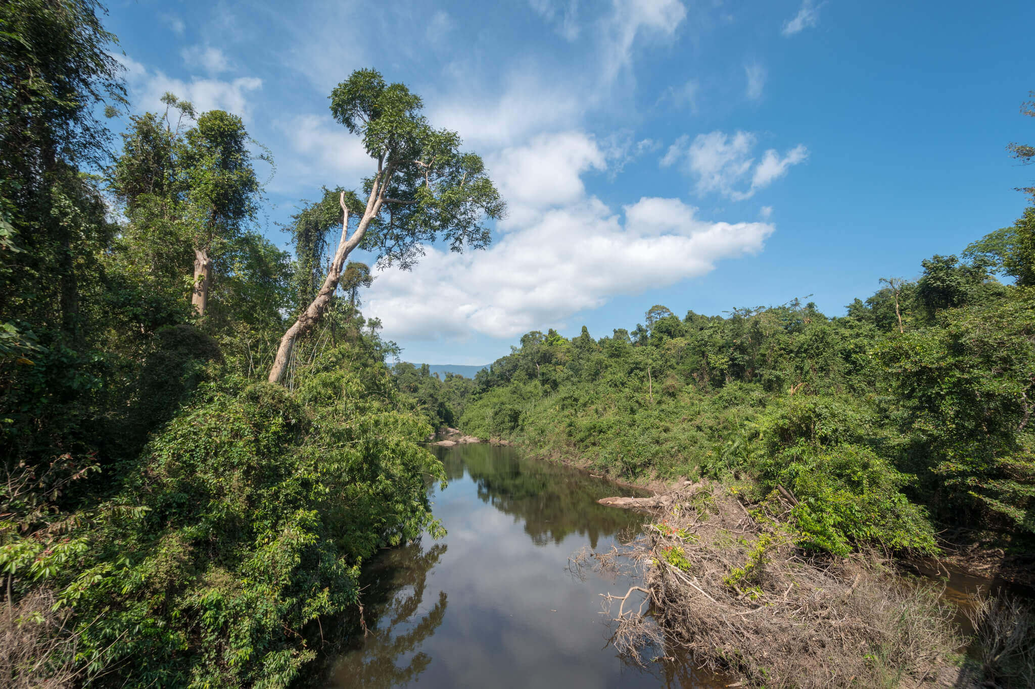 Parcul Național Khao Yai : Parc national Khao Yai (éléphants, animaux…)