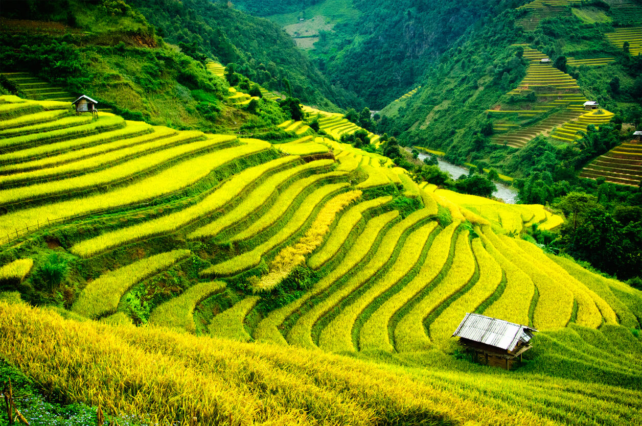 Sa Pa (Nordul Vietnamului) : Mu Cang Chai, Sapa Sa Pa (Nordul Vietnamului) : Mu Cang Chai, Sapa