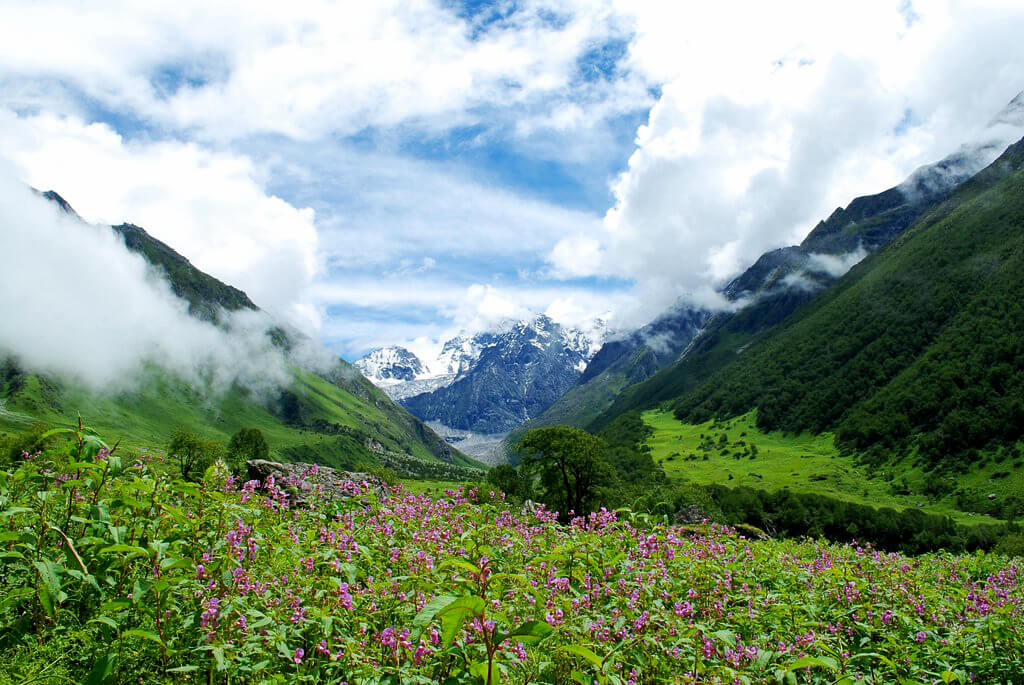 Parcul National Valea Florilor (Uttarakhand) :  Parcul National Valea Florilor (Uttarakhand) :