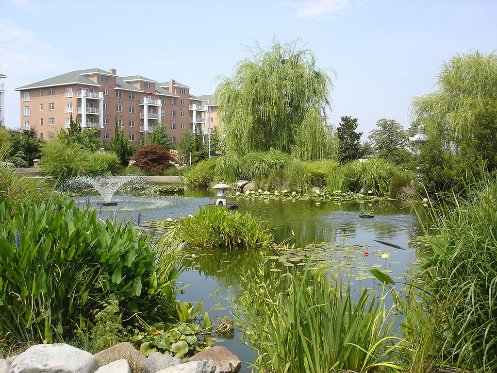 Virginia : Virginia :