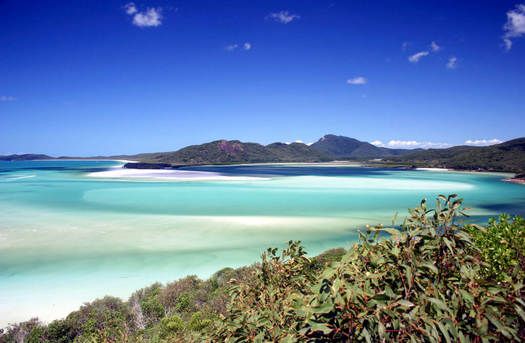 Insulele Whitsunday :  Insulele Whitsunday :